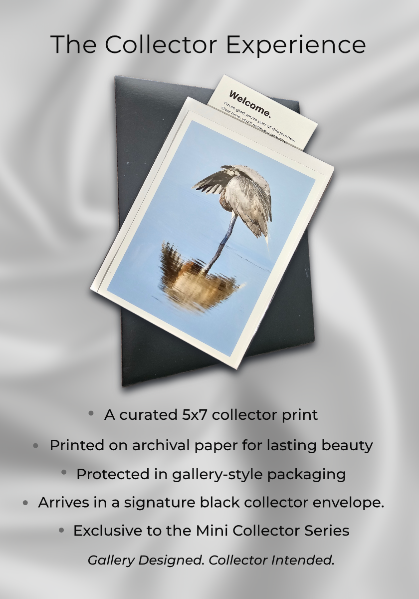 5x7 collector print of a bird on a nest with packaging and text about the Collector Experience.