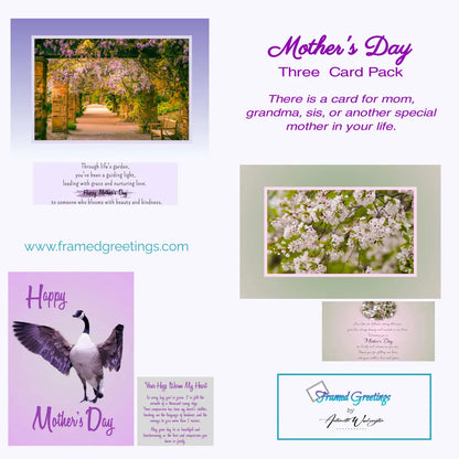 Mother's Day Card Variety  (3pk) 2024 Antoinette Washington Photography