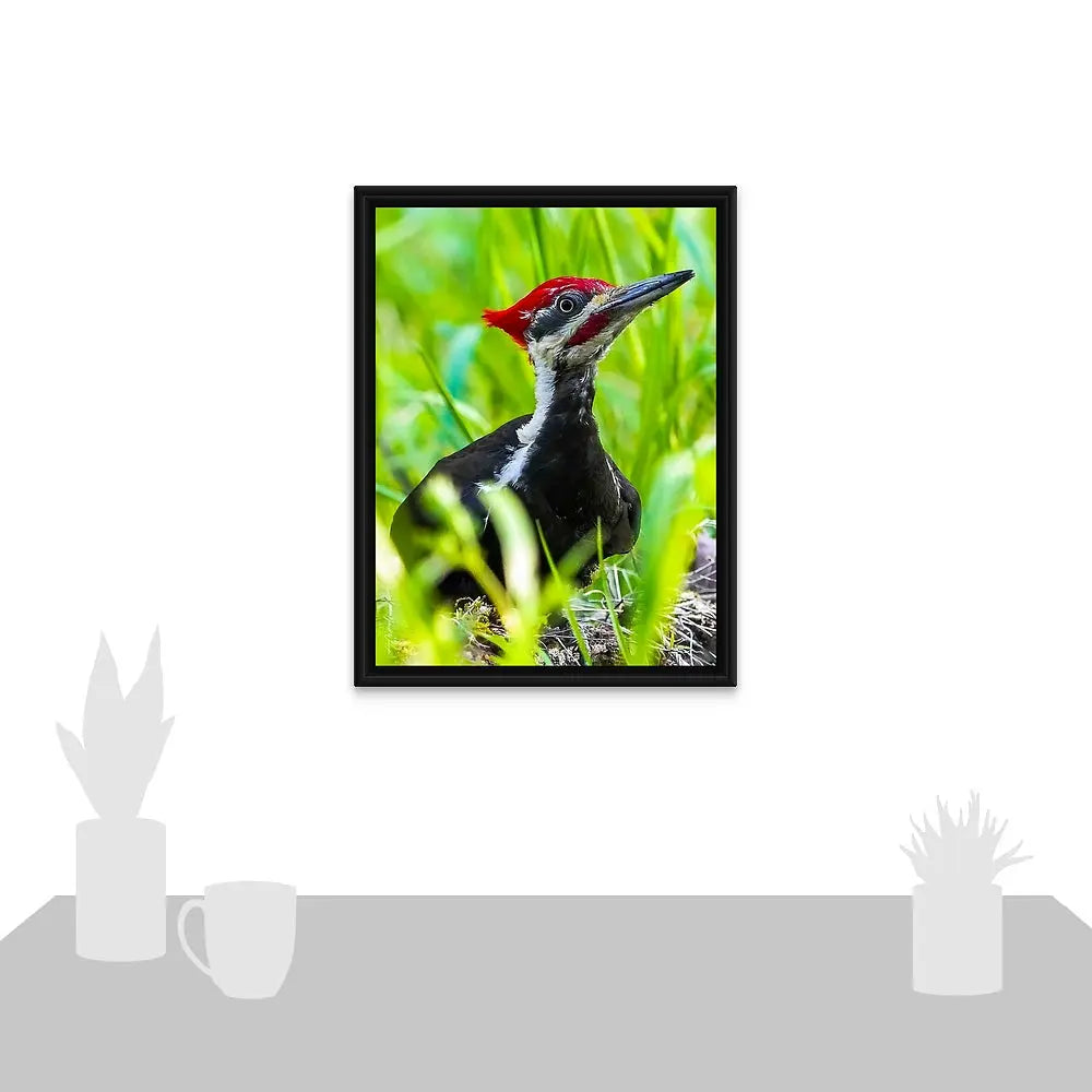 Pileated Woodpecker Antoinette Washington Photography