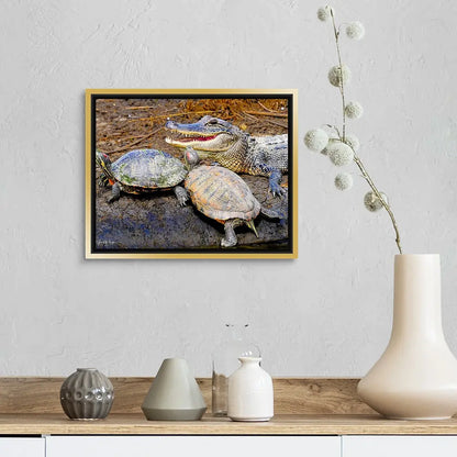 Reptile Soup Antoinette Washington Photography