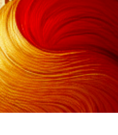 Red and Gold Harmony Wall Art