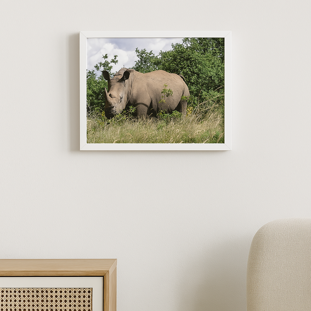 The Watchful Giant - Rhinoceros