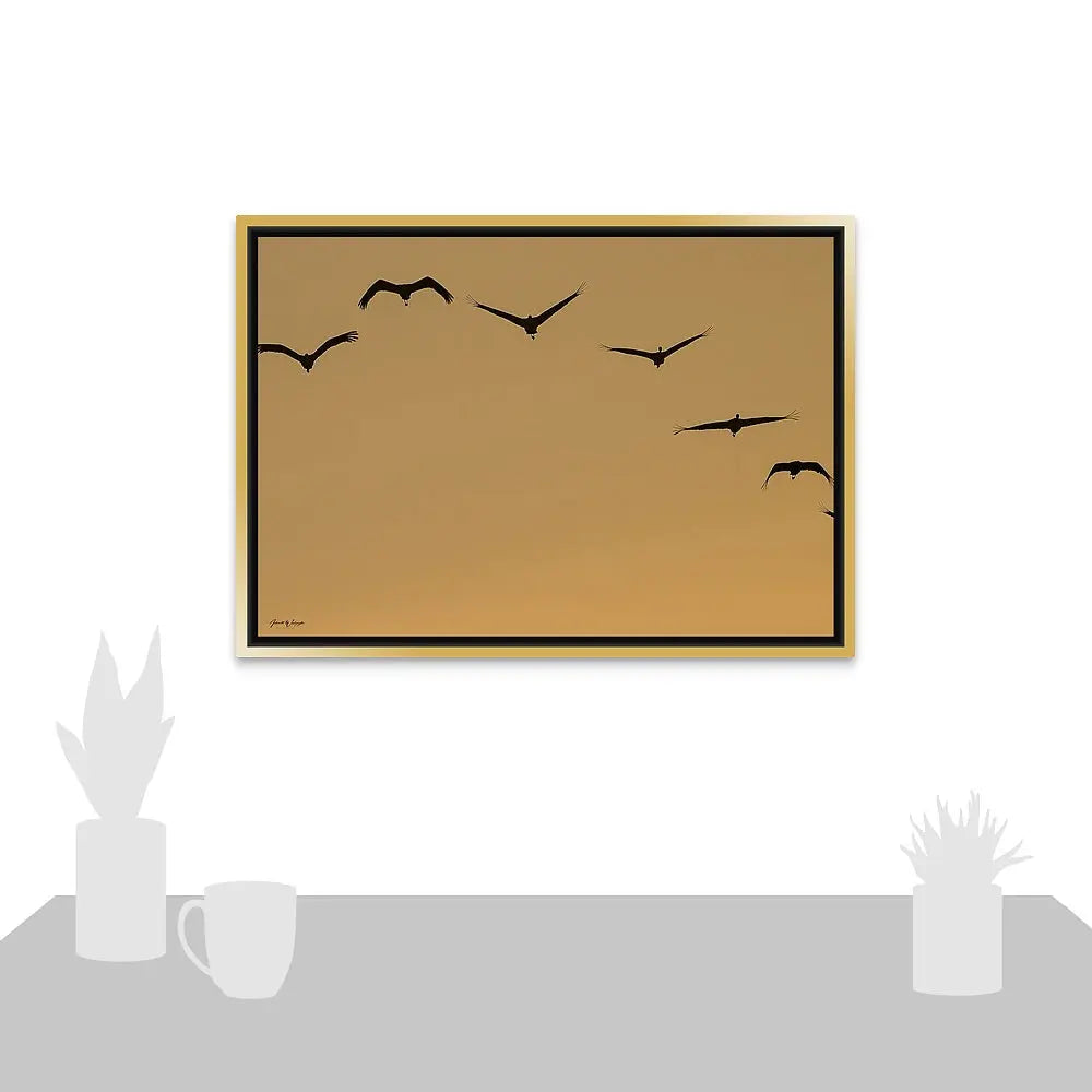 Sandhill Cranes Sunrise Antoinette Washington Photography