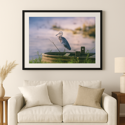 Stillness in the Refuge - Little Blue Heron