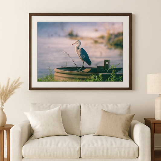 Stillness in the Refuge - Little Blue Heron