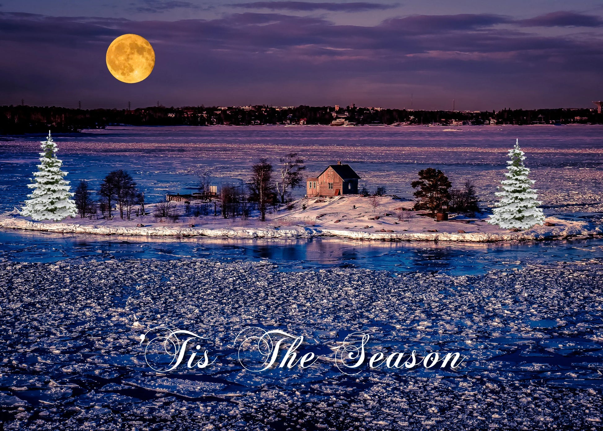 Christmas Tis The Season Antoinette Washington Photography