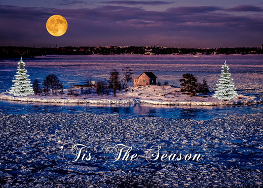 Christmas Tis The Season Antoinette Washington Photography