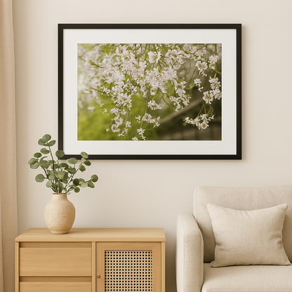 Cherry Blossom Whispers