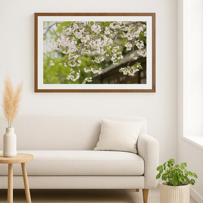 Cherry Blossom Whispers