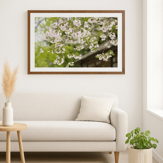 Cherry Blossom Whispers