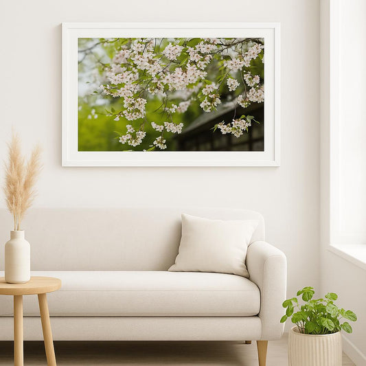 Cherry Blossom Whispers