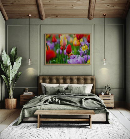 Tulip Bulbs Antoinette Washington Photography