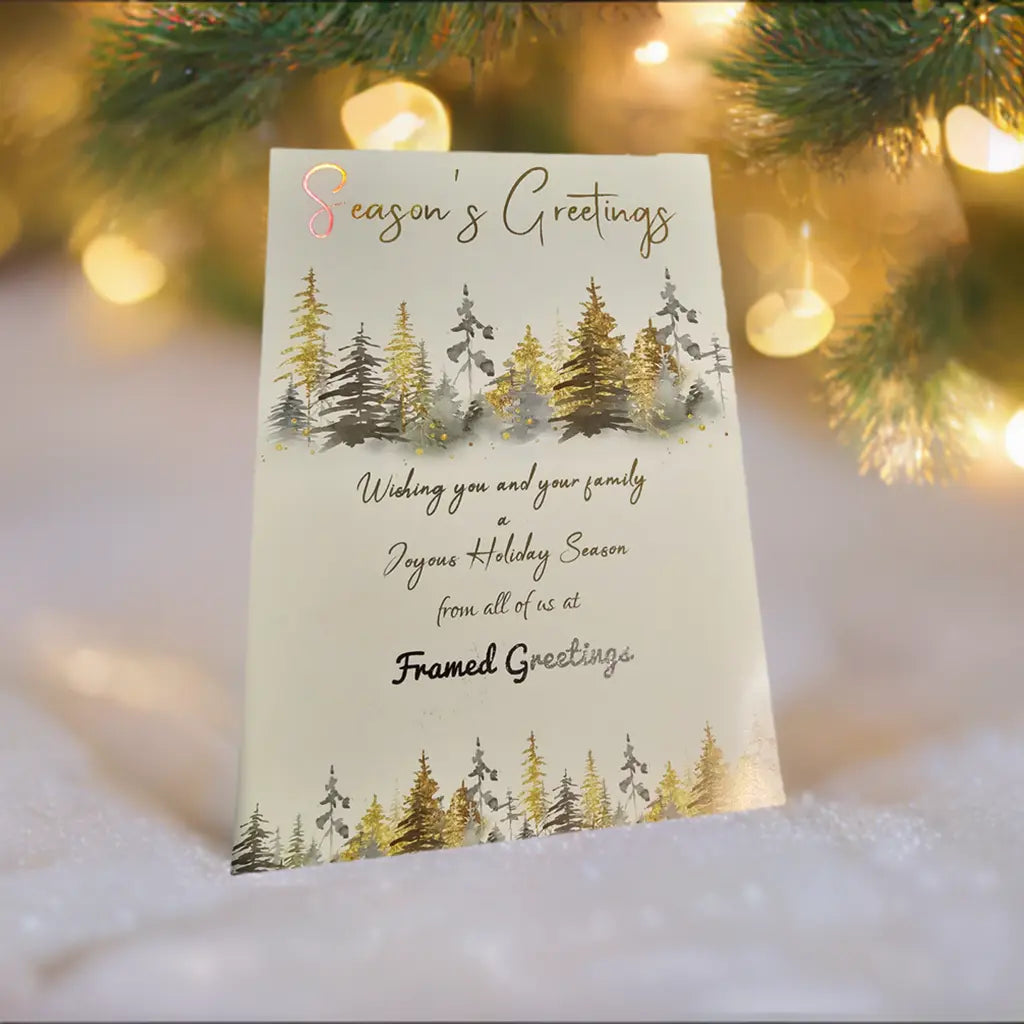 Custom Holiday Cards - Glossy Framed Greetings