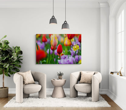 Tulip Bulbs Antoinette Washington Photography