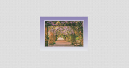 Mother's Day Card Variety  (3pk) 2024