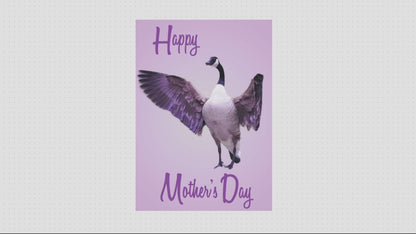 Mother's Day Card Variety  (3pk) 2024
