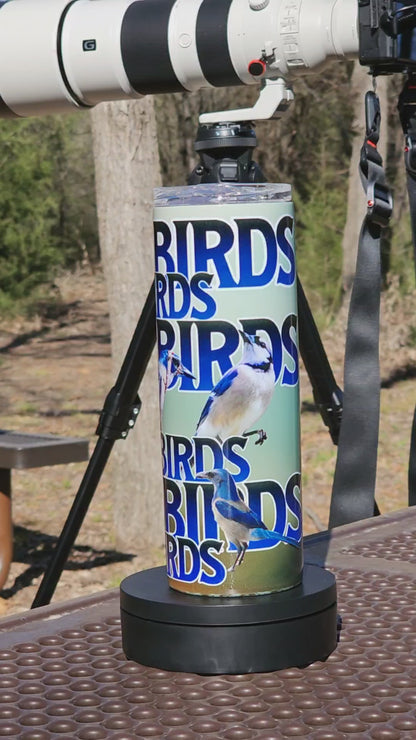 Skinny Tumblers - Birdwatching