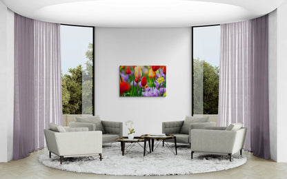 Tulip Bulbs Antoinette Washington Photography