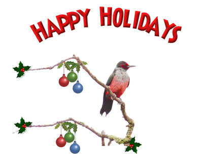 Christmas Cards 661WDPKR (15pk) Antoinette Washington Photography