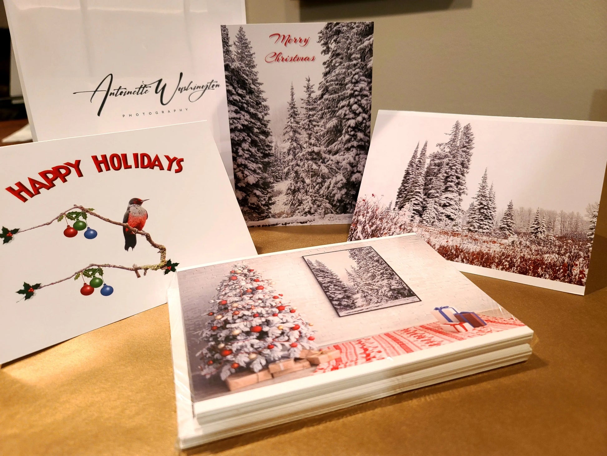 Christmas Cards 3511RDSCR (10 pk) Antoinette Washington Photography