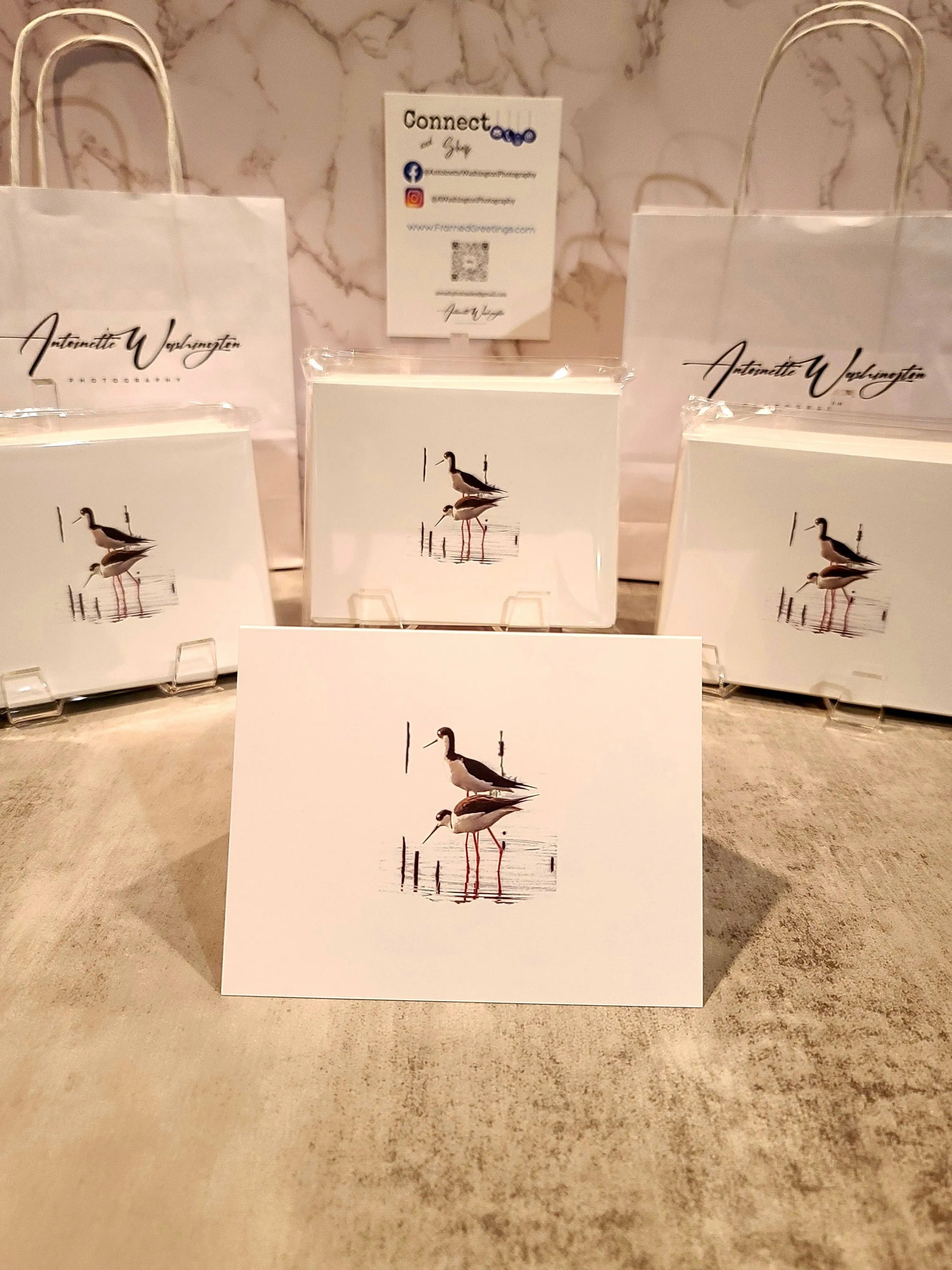 Note Cards with Black-Necked Stilt Bird (10pk) Antoinette Washington Photography