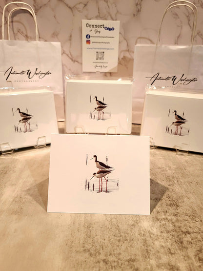 Note Cards with Black-Necked Stilt Bird (10pk) Antoinette Washington Photography