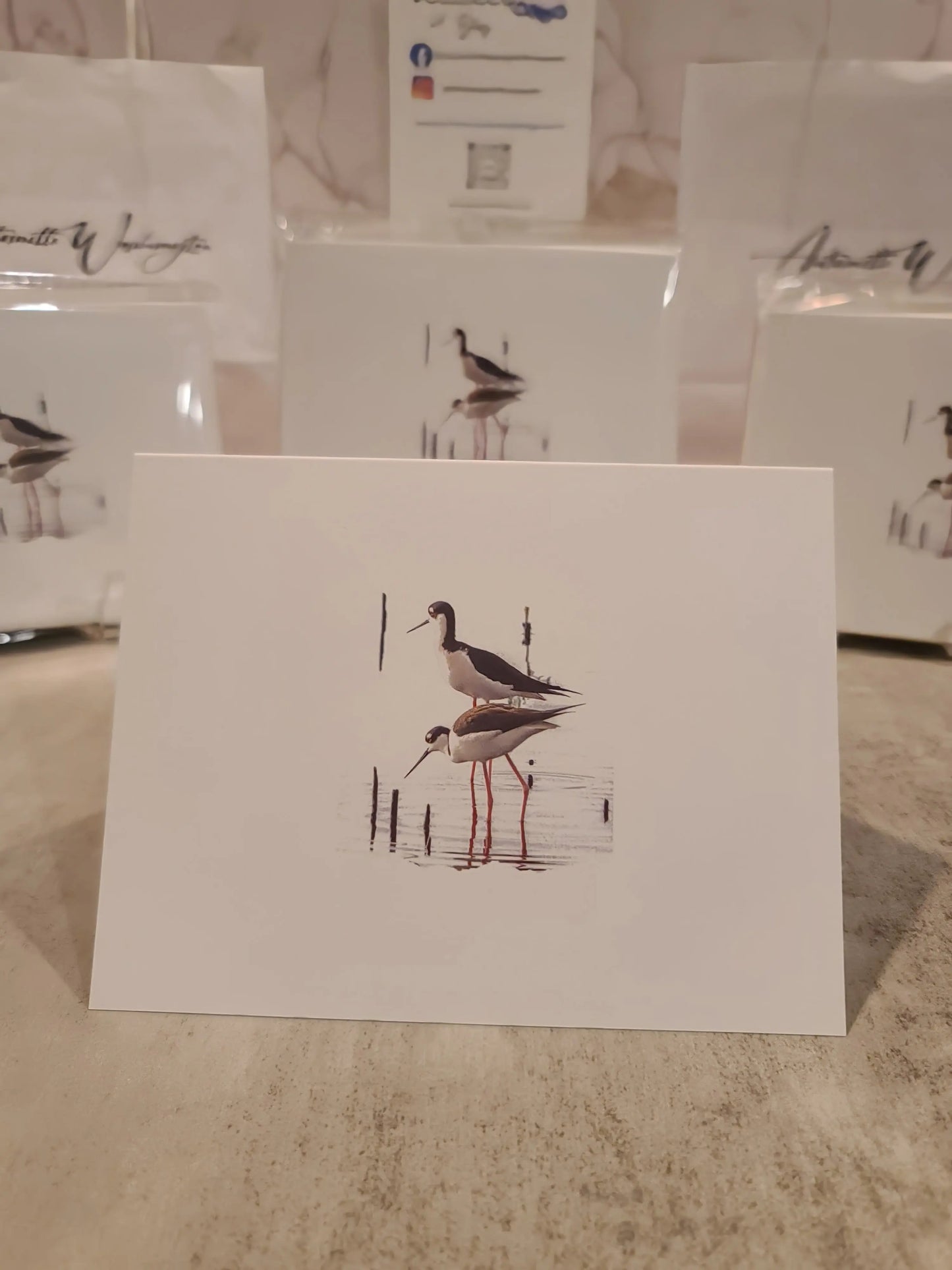 Note Cards with Black-Necked Stilt Bird (10pk) Antoinette Washington Photography