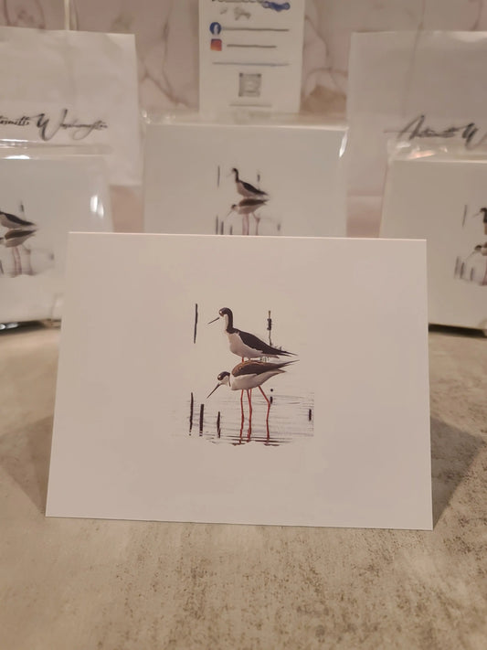 Note Cards with Black-Necked Stilt Bird (10pk) Antoinette Washington Photography