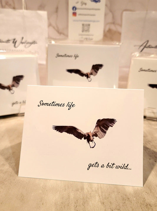 Life Gets a Bit Wild Note Cards with Reddish Egret (10pk) Antoinette Washington Photography
