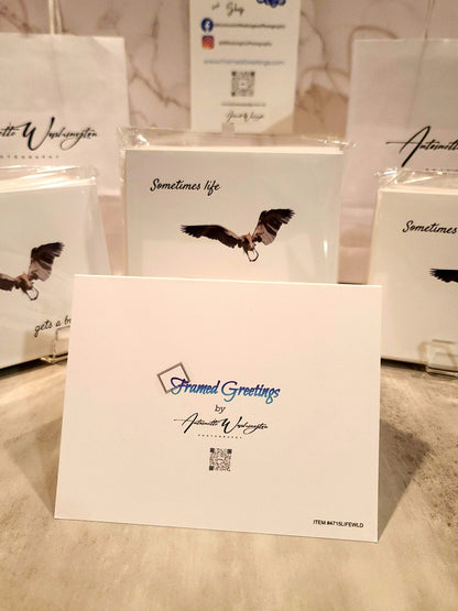 Life Gets a Bit Wild Note Cards with Reddish Egret (10pk) Antoinette Washington Photography