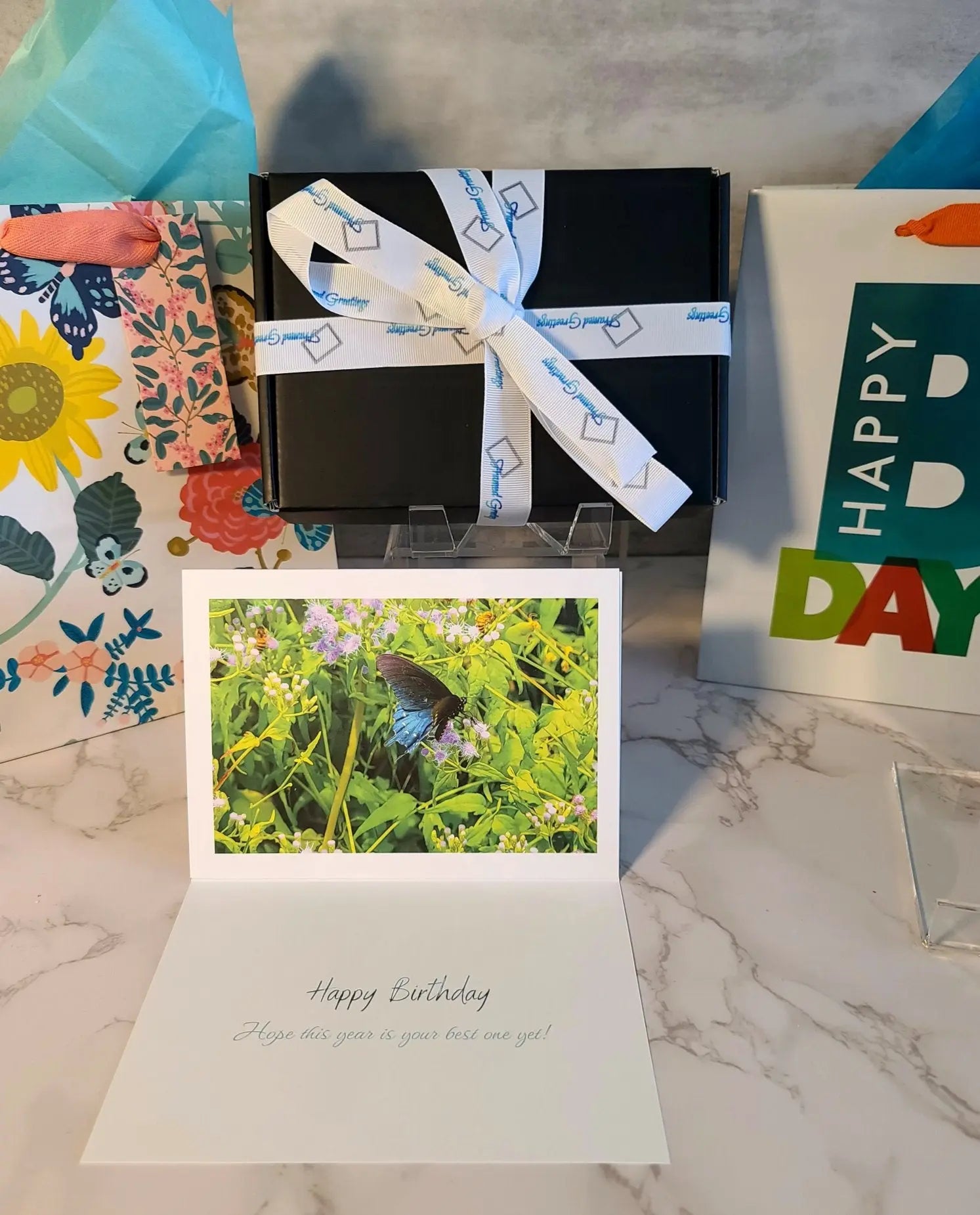 Birthday Card Variety  (12pk) Antoinette Washington Photography