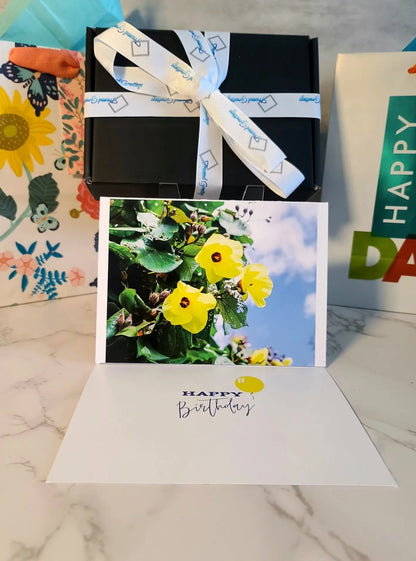 Birthday Card Variety  (12pk) Antoinette Washington Photography