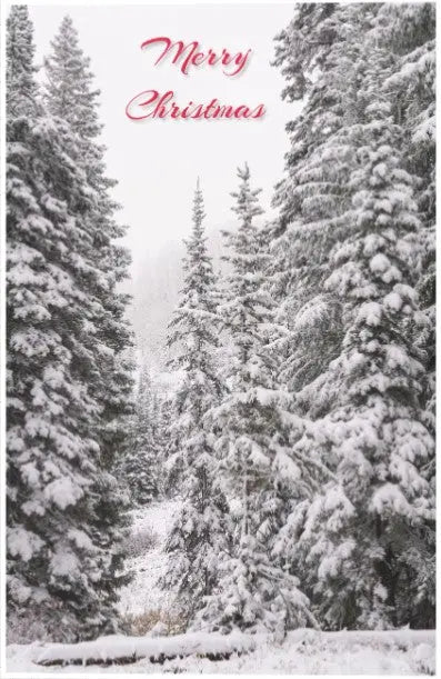 Christmas Cards 3511RDSCR (10 pk) Antoinette Washington Photography