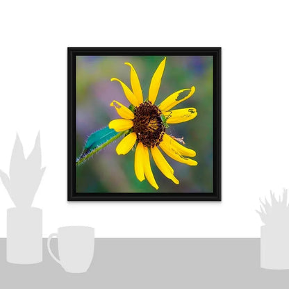 Perfectly Imperfect Wildflower Antoinette Washington Photography