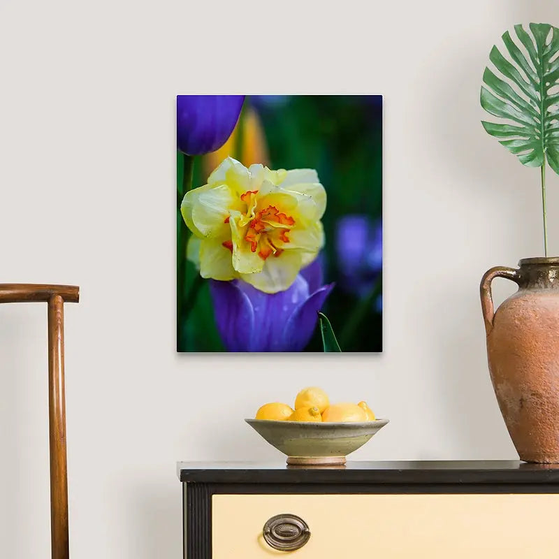 Yellow Daffodil with Purple Tulips Antoinette Washington Photography