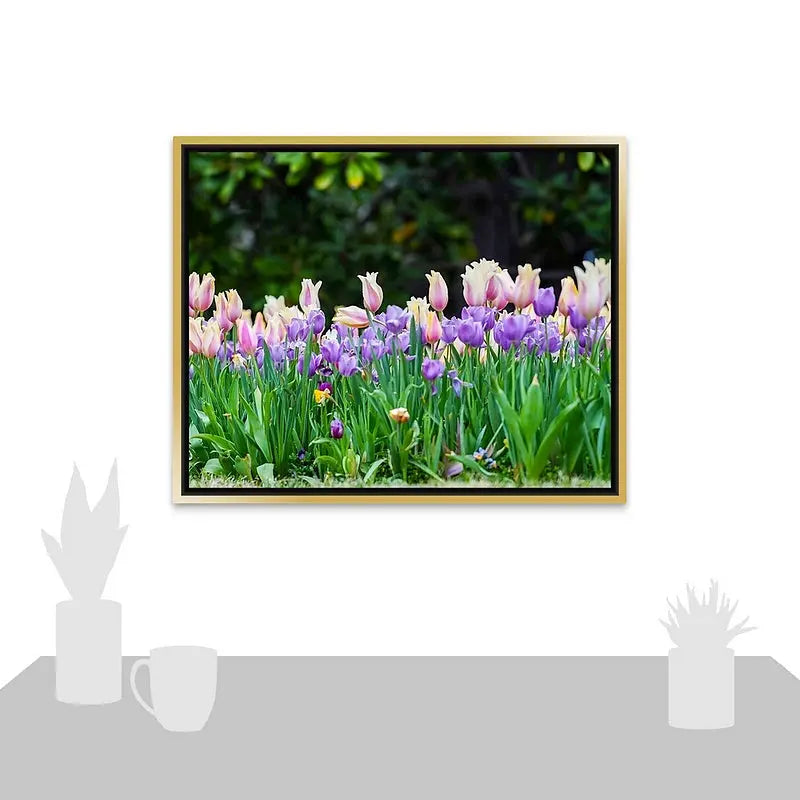 Field of Tulips Antoinette Washington Photography