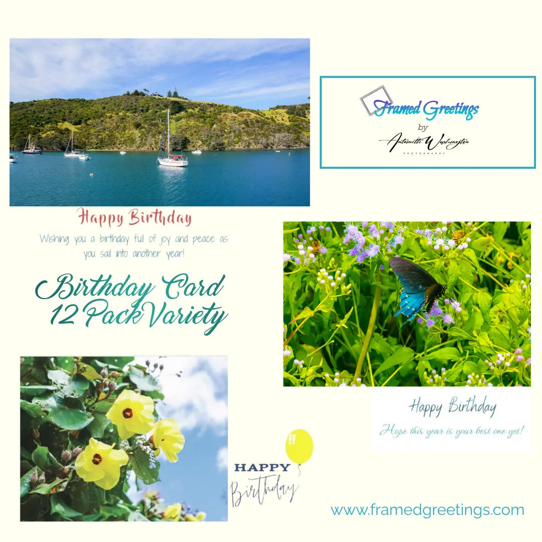 Birthday Card Variety  (12pk) Antoinette Washington Photography