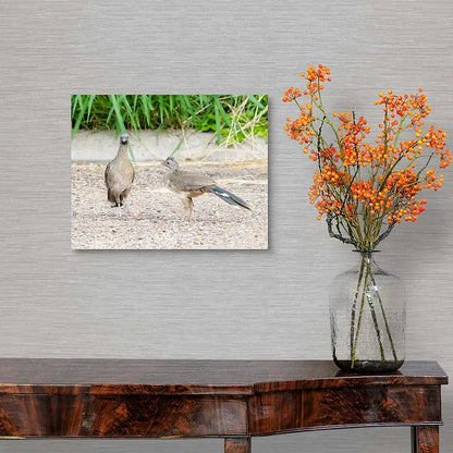 Chackalaka Antoinette Washington Photography