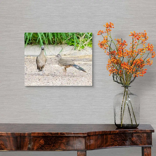 Chackalaka Antoinette Washington Photography