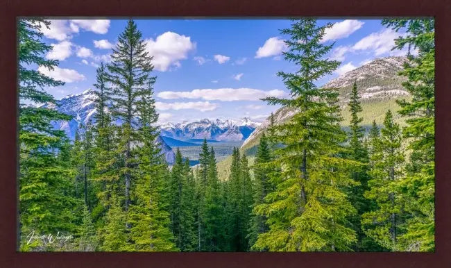 Perfect Trio Antoinette Washington Photography