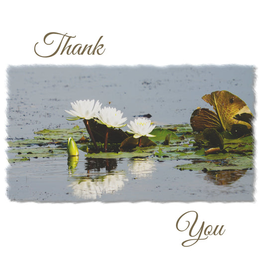 Thank You Cards with Water Lilies (10pk) Antoinette Washington Photography