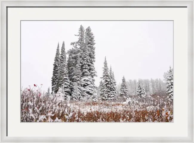 First Snow - Joy Antoinette Washington Photography